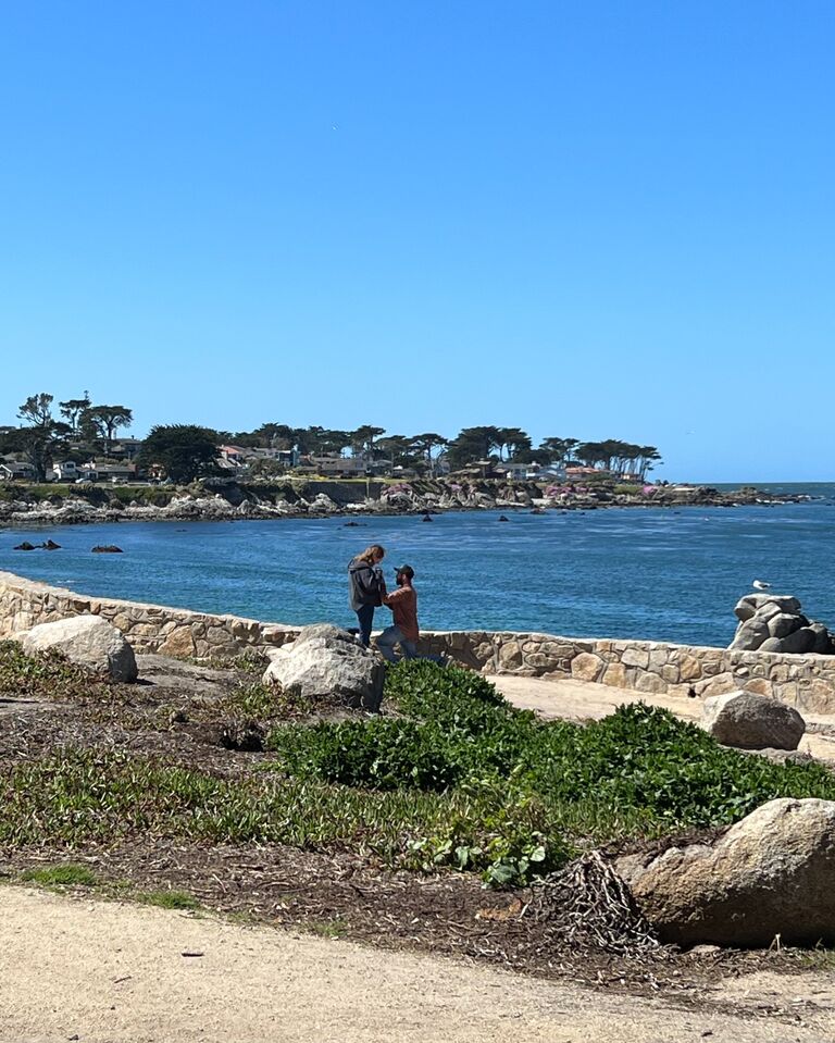 We are ENGAGED!