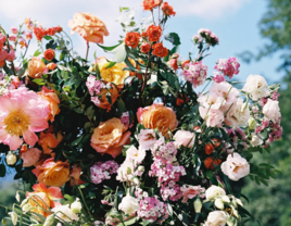 bride holding protea and bougainvillea bouquet