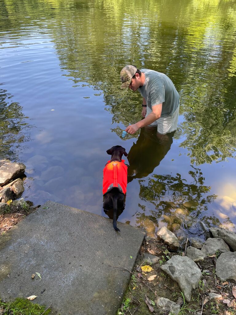 Puppy swimming lessons