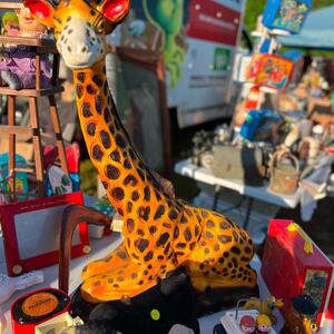 Gallery Photo 24