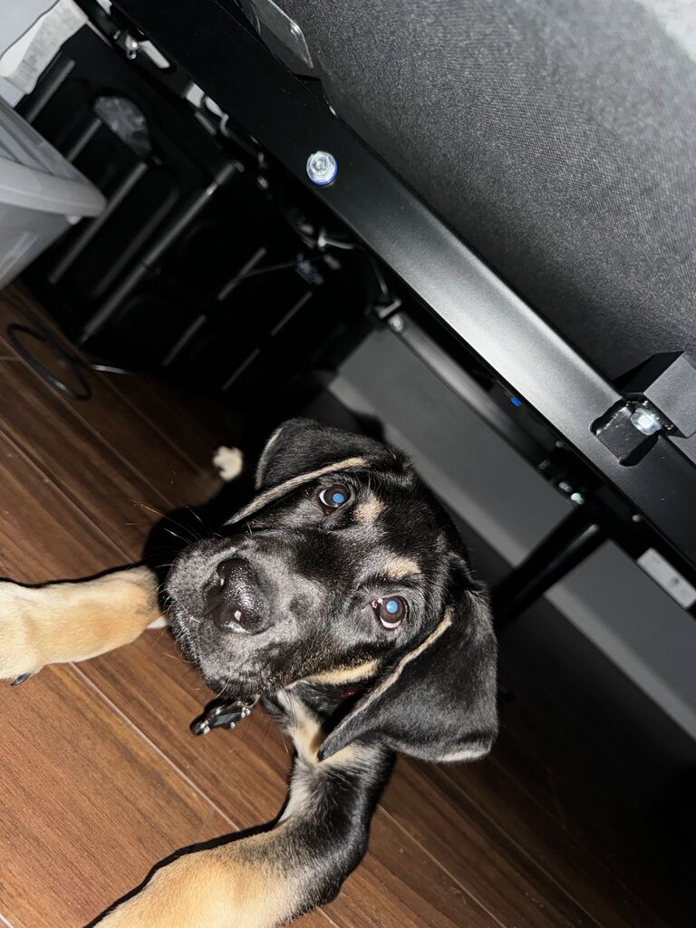 The monster under the bed is pretty cute right.