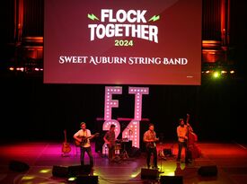 Sweet Auburn String Band - Bluegrass Band - Atlanta, GA - Hero Gallery 2