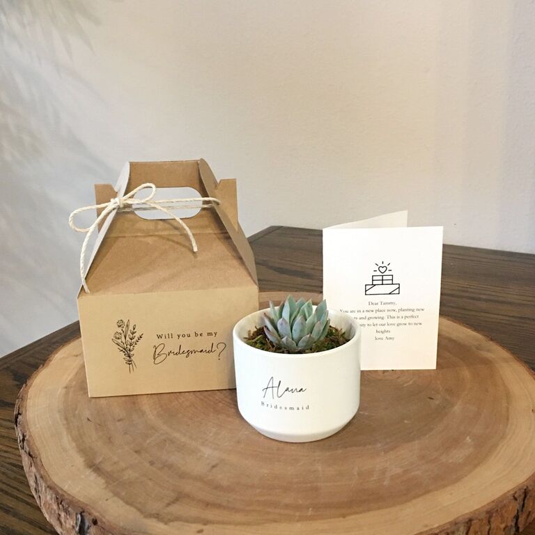 Mini succulents and card bridesmaid proposal gift