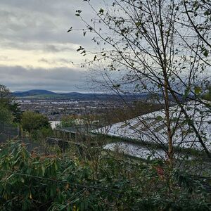 Gallery Photo 134