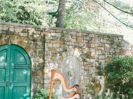 Diana Marie Gibbs, Harpist - Harpist - Alexandria, VA - Hero Gallery 3