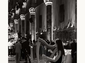Mary Kate Boylan - Harpist - New York City, NY - Hero Gallery 2