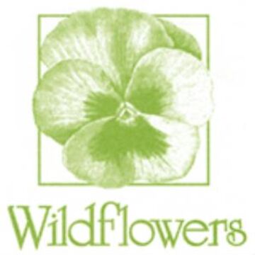 Wildflowers - Florist - Saint Louis, MO - Hero Main