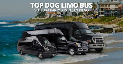 Top Dog Limo Bus, Inc.