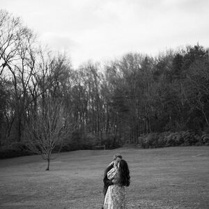 Gallery Photo 9
