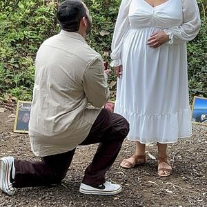 Gallery Photo 7