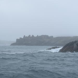 Gallery Photo 5