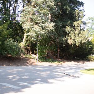 Gallery Photo 24