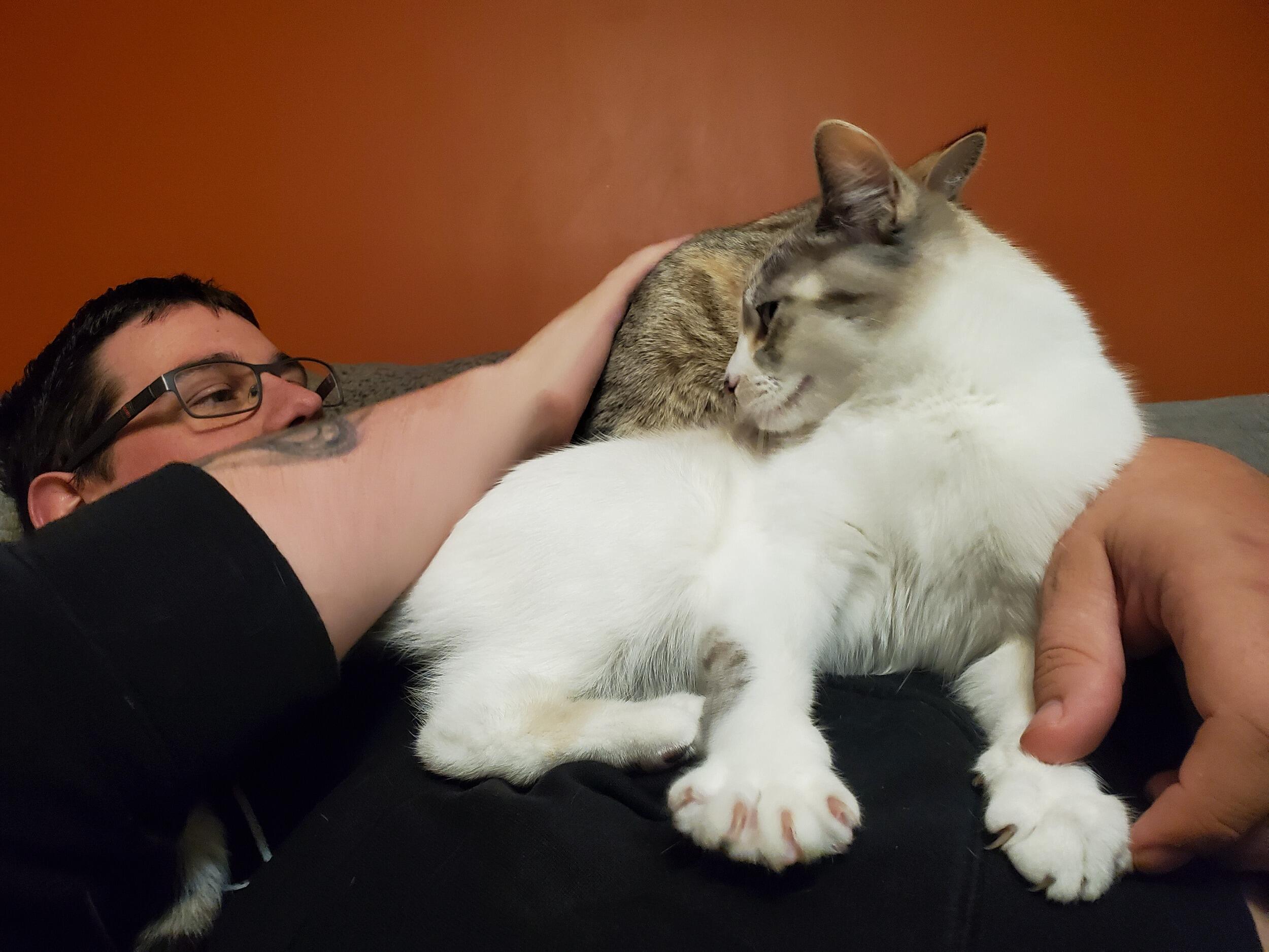 Tyler decided to make a crazy bold move - convincing Melyssa to move in with him.

Though skeptical and hesitant to move in so quickly, it worked out well for them. Aside from the cats being absolute traitors, of course 