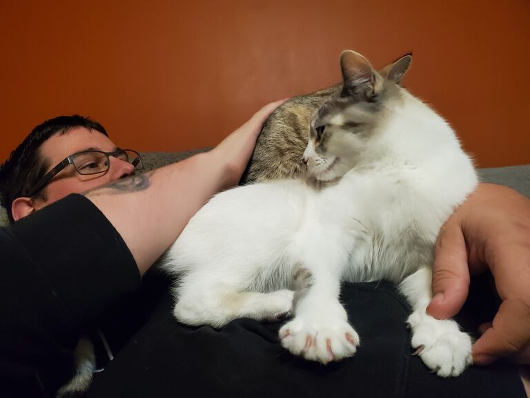 Tyler decided to make a crazy bold move - convincing Melyssa to move in with him.

Though skeptical and hesitant to move in so quickly, it worked out well for them. Aside from the cats being absolute traitors, of course 