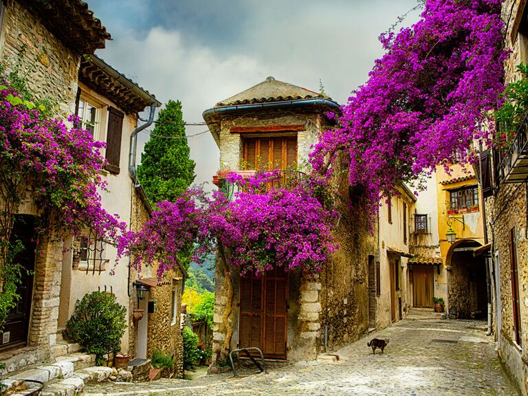 Street in Provence, France