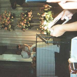 Gallery Photo 79