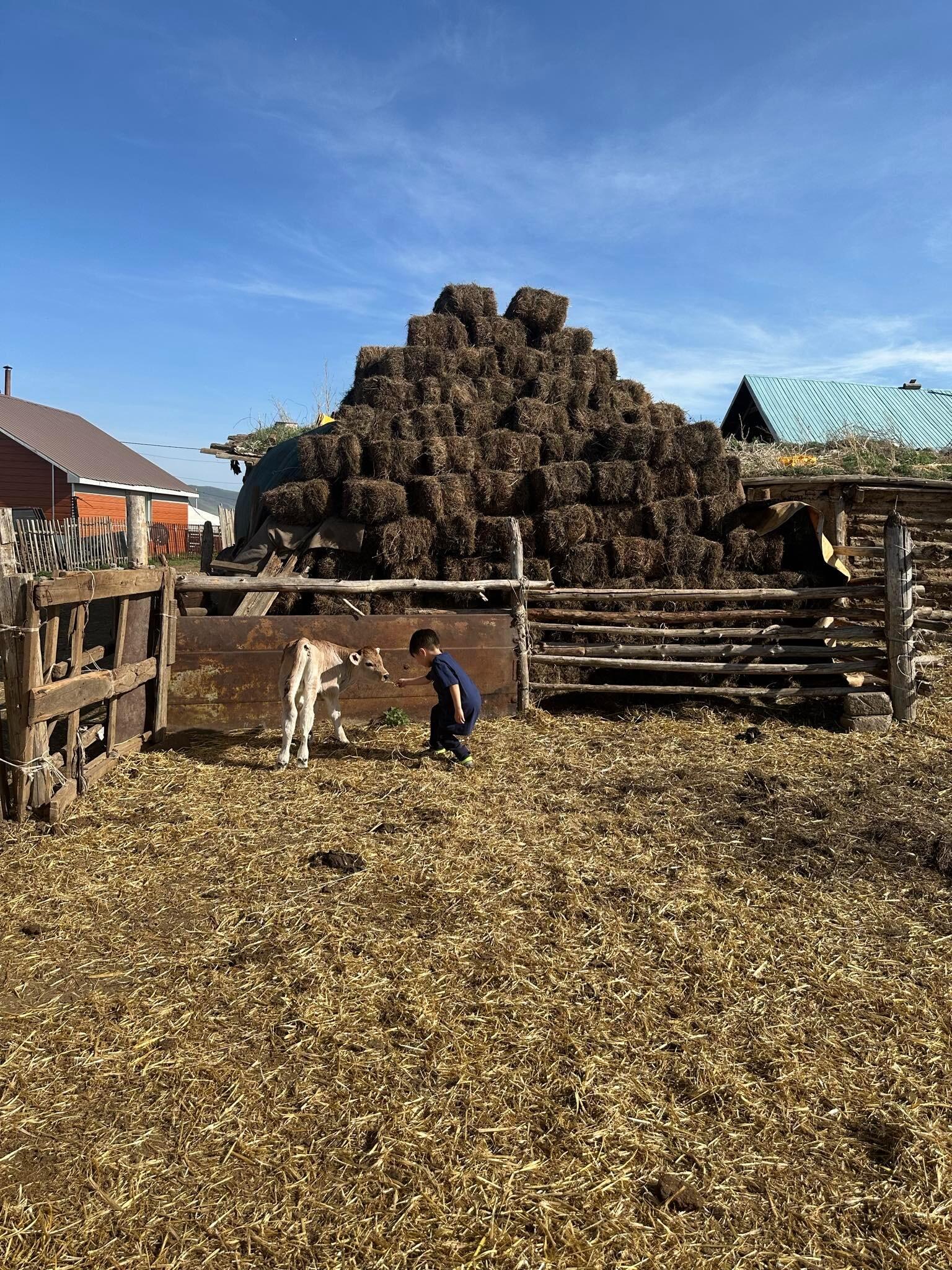 First ever trip to Mongolia for our little ones...