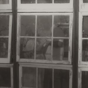Gallery Photo 39