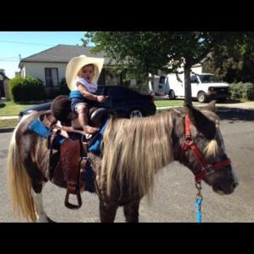 Betty Jean's Party Ponies - Pony Rides - Rancho Cucamonga, CA - Hero Main