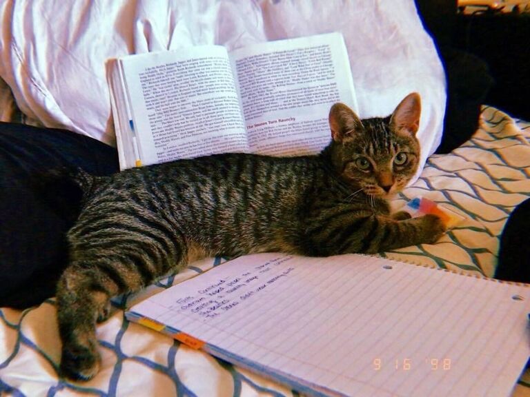 In 2018, we got our first apartment together and the first addition to our family Patchouli!