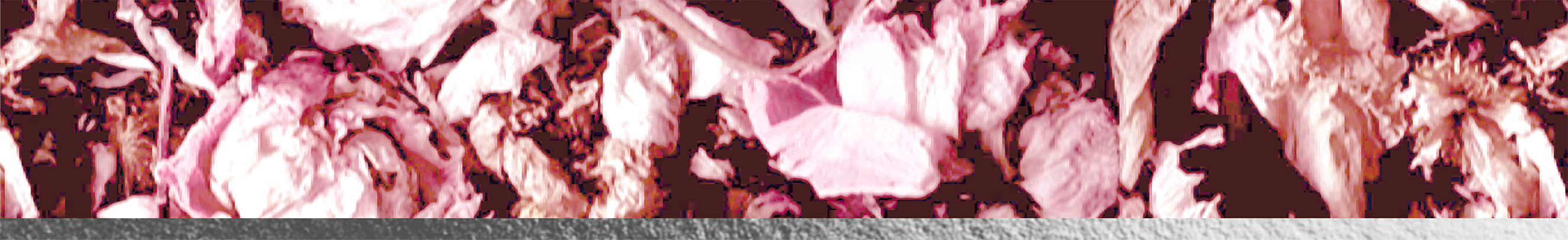 Top Theme Image