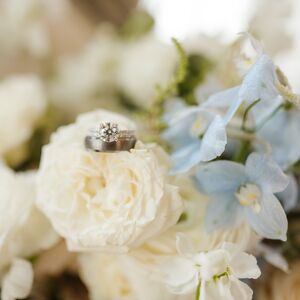 Gallery Photo 467