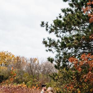 Gallery Photo 6