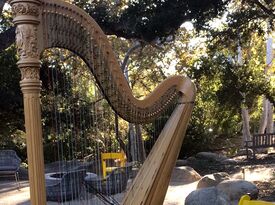 Leila Jay, harpist - Harpist - Stevenson Ranch, CA - Hero Gallery 3