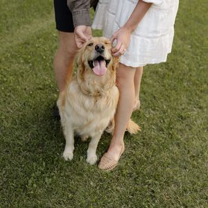 Gallery Photo 24