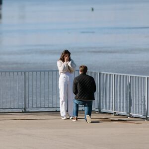 Gallery Photo 1