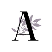 Vendor Logo