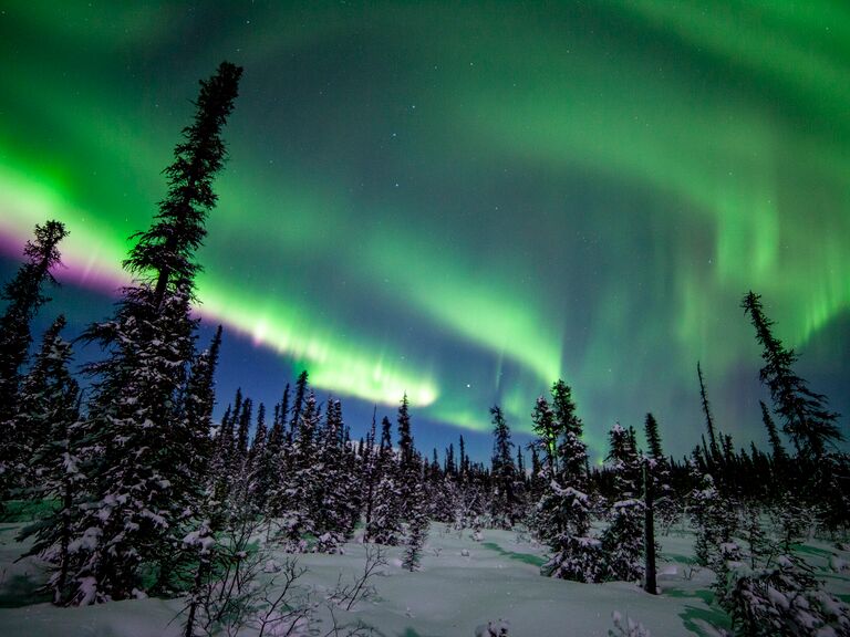 A view of the northern lights in Denali National Park, Alaska.