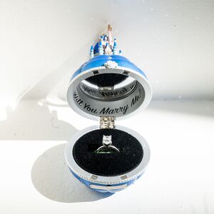 Gallery Photo 54