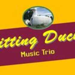 Sitting Ducks Music Trio, profile image
