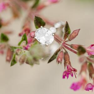 Gallery Photo 36