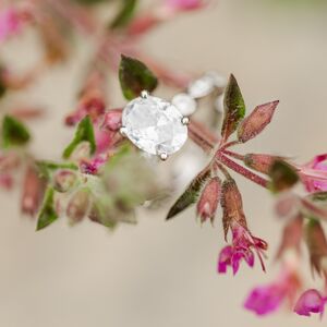 Gallery Photo 36