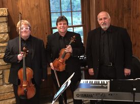 The Continental String Ensemble  - Classical Quartet - Arlington Heights, IL - Hero Gallery 4