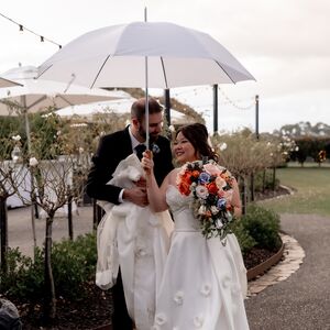 Gallery Photo 198