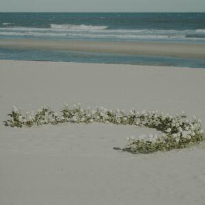 Gallery Photo 51