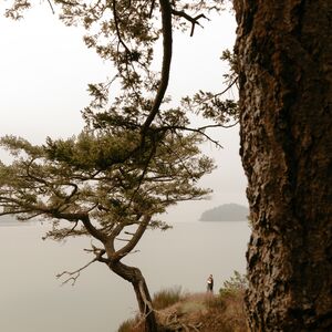 Gallery Photo 166