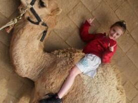 Whitley Acres Exotic Ranch & Stables - Petting Zoo - Levelland, TX - Hero Gallery 4