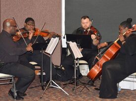 The Element String Quartet - String Quartet - Indianapolis, IN - Hero Gallery 2