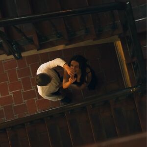 Gallery Photo 5