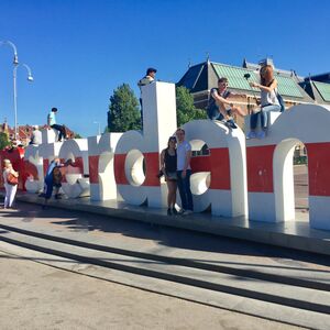 Gallery Photo 26