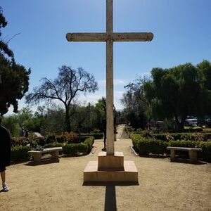 Gallery Photo 10