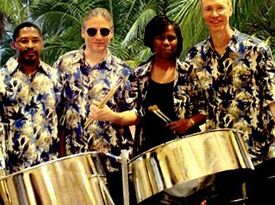 Tropical Beat Steel Band - Steel Drum Band - New York City, NY - Hero Gallery 1