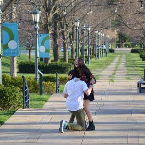 Gallery Photo 12