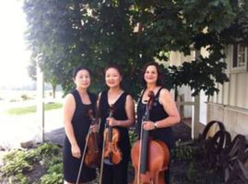 Dolce DaVita Strings, LLC - Chamber Music Trio - Edison, NJ - Hero Main