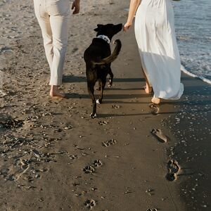Gallery Photo 26