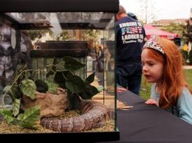 Prehistoric Adventures - Animal For A Party - Fountain Valley, CA - Hero Gallery 3